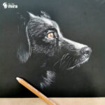 Dessin chien au crayon blanc