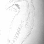 Dessin d'Aurélie