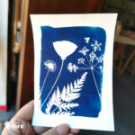 Atelier cyanotype