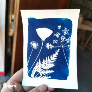 Atelier cyanotype