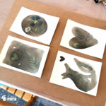 Atelier cyanotype