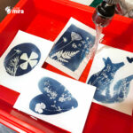 Atelier cyanotype