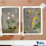 Atelier cyanotype
