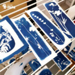 Atelier cyanotype