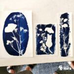 Atelier cyanotype