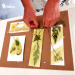 Atelier cyanotype