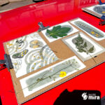 Atelier cyanotype